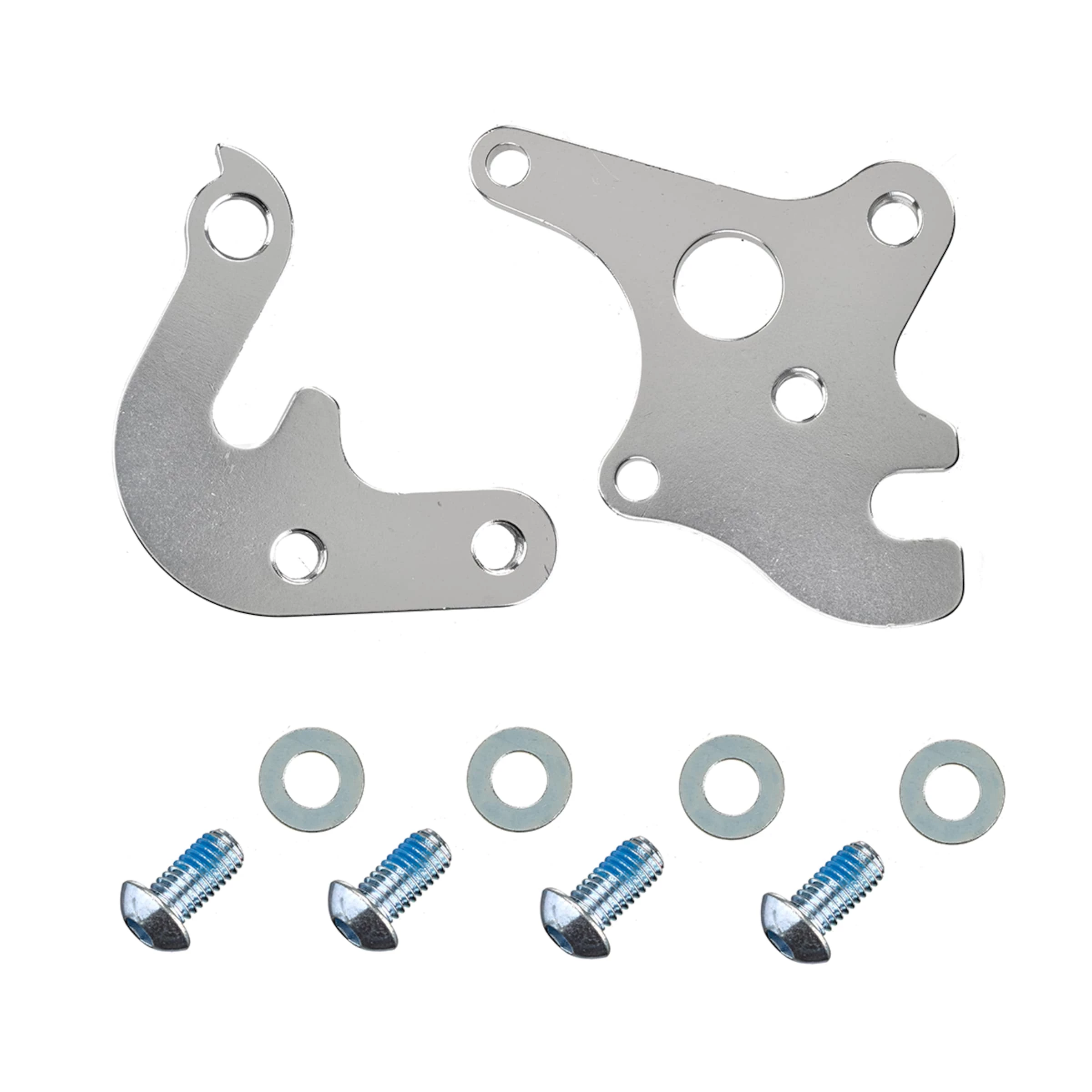 Derailleur Hanger 12